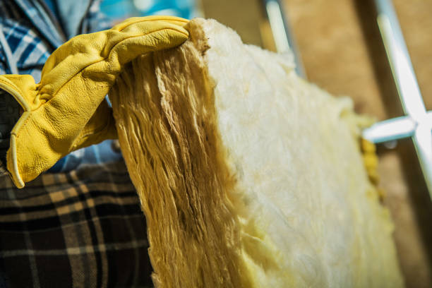 Best Spray Foam Insulation in Winfield, IA