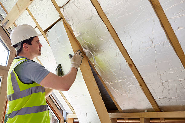 Best DIY Insulation Kits and Guidance in Winfield, IA