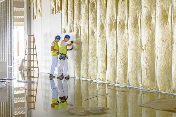 Best Residential Insulation in Winfield, IA